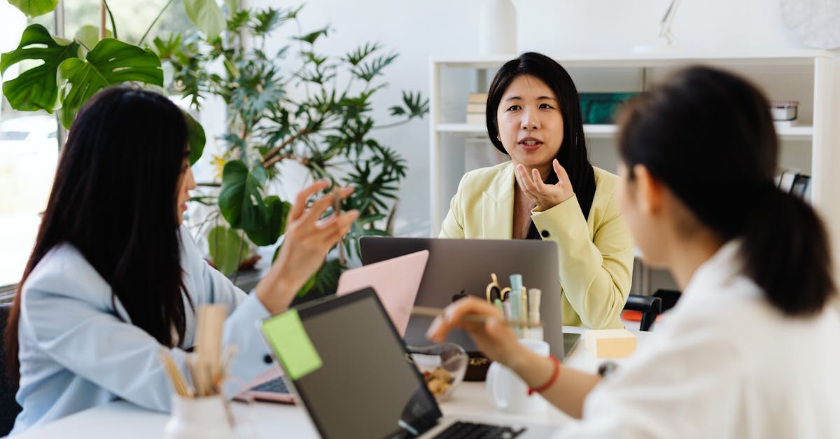 铁塔猫日月双爆珠（粗）：莆田图书购买平台